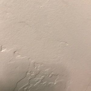 Meet your Posher, Jesse